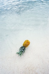 pineapple-supply-co-244468-unsplash