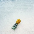 pineapple-supply-co-244468-unsplash